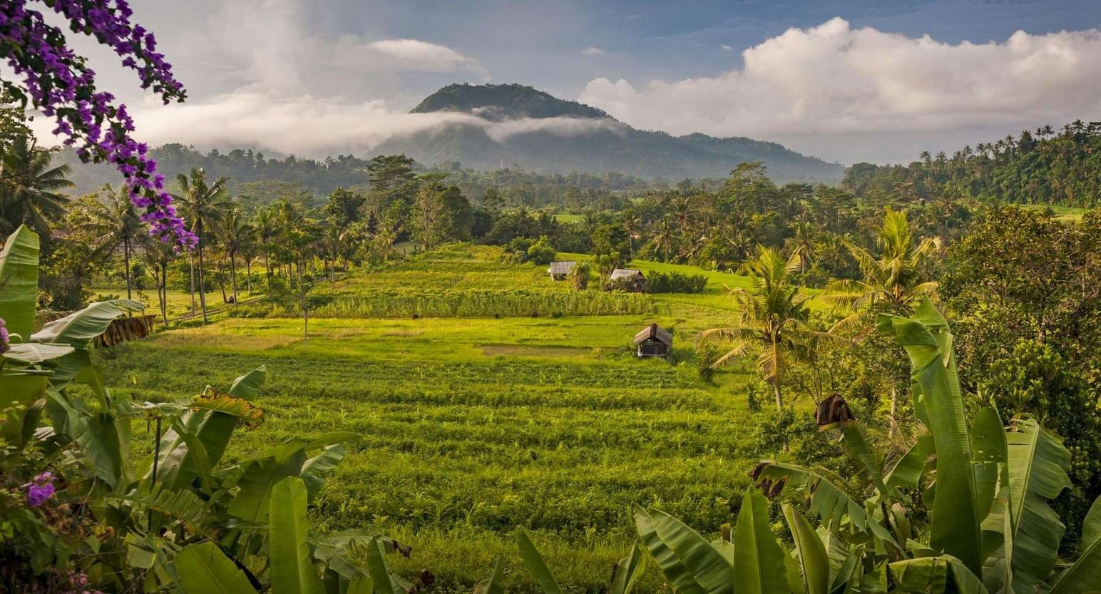 Sidemen Valley Rice Terrace Paradise