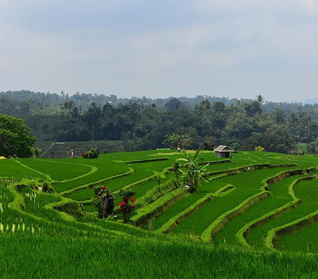 4 Reasons to Visit Bali Before the Crowds Arrive
