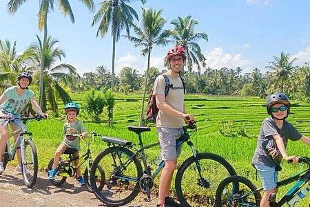 Bali Bicycle Rental