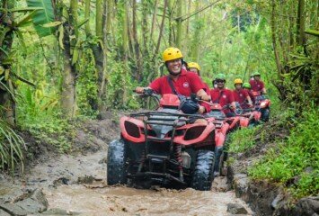 Bali Day Trips