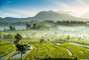 Bali Tourism Revival Eco-Friendly Innovations Becoming the New Attraction