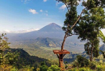 Bali for Nature Lovers Jungles, Lakes & Wildlife