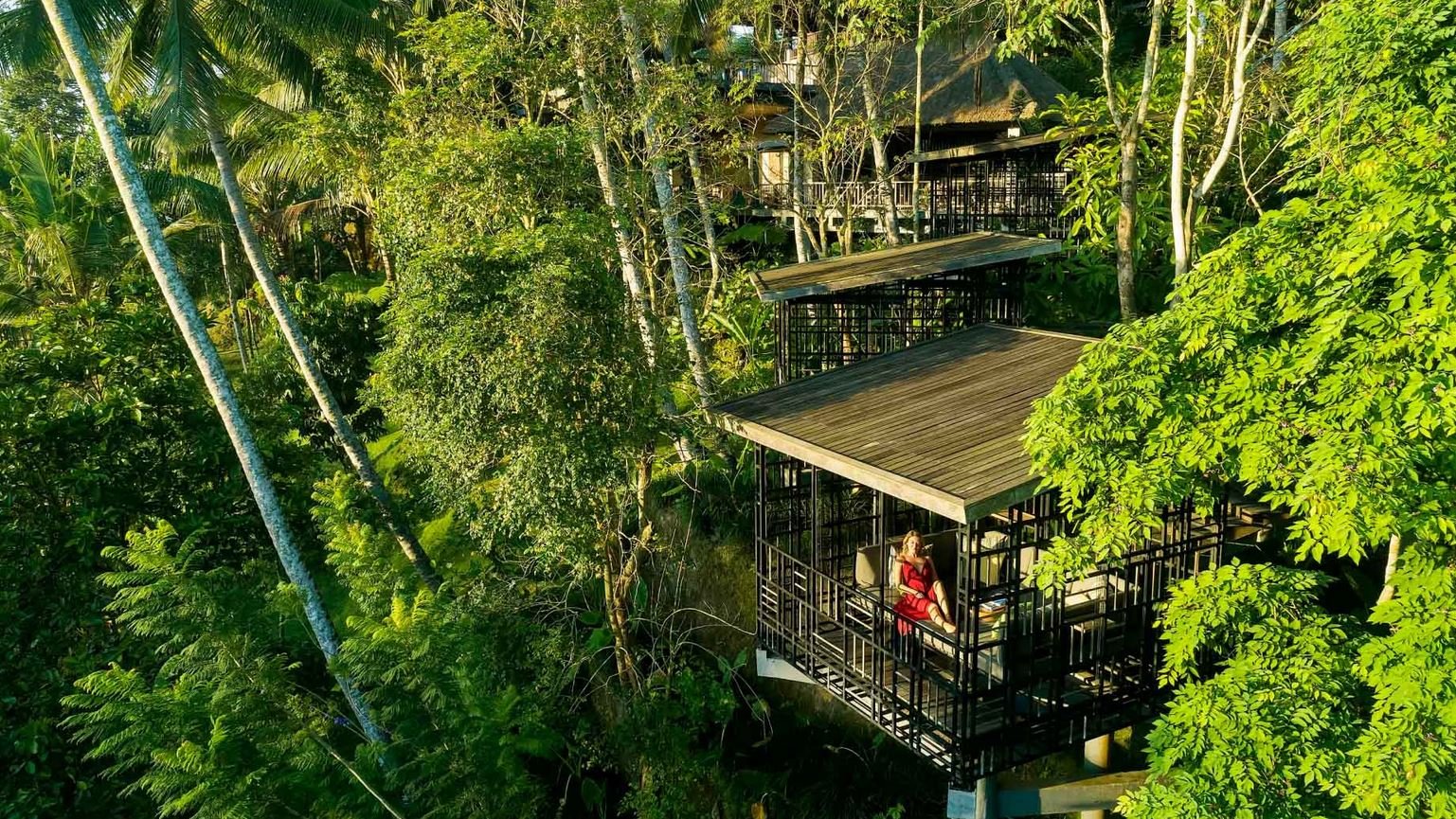 Bali’s Top Hidden Jungle Cafes for Nature Lovers