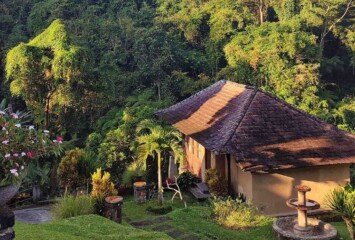 Bali’s Top Nature Retreats for Creatives