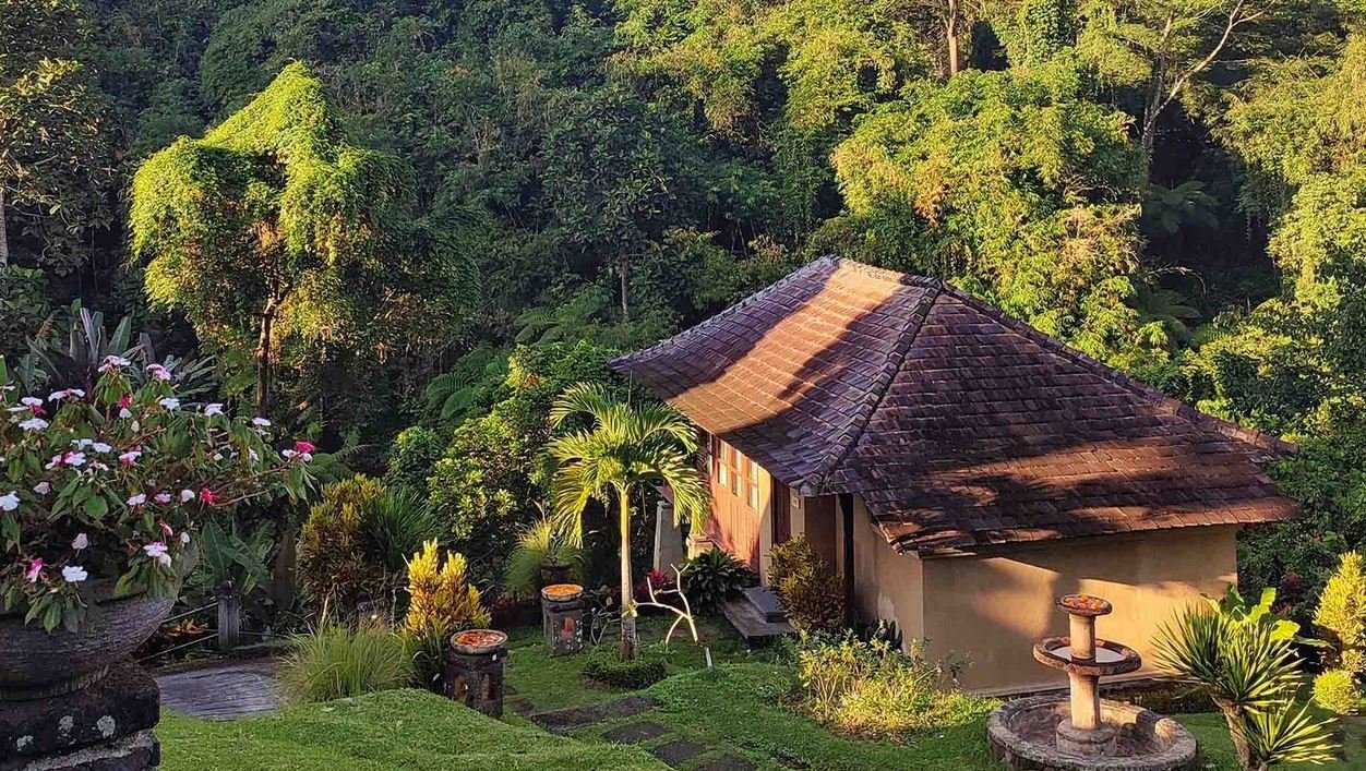 Bali’s Top Nature Retreats for Creatives