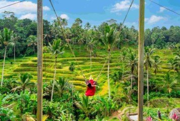 Instagrammable Rice Terraces in Bali