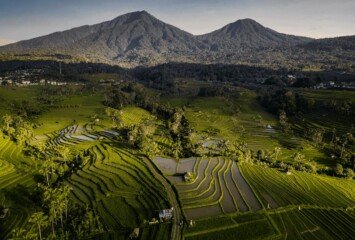 Jatiluwih Rice Terraces – UNESCO Heritage Beauty