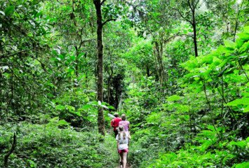 Jungle Trekking in Munduk