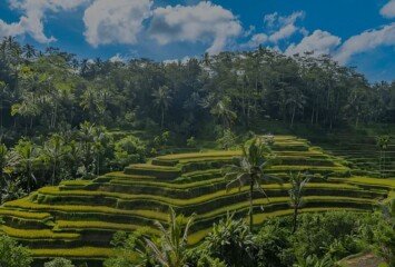 Lush Natural Beauty Bali