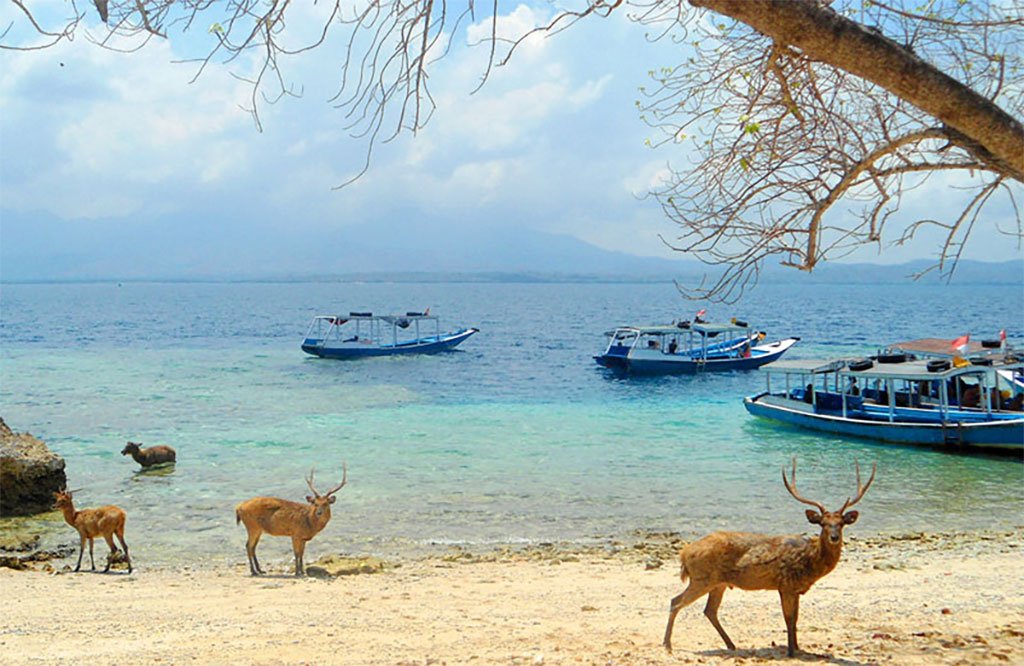 Menjangan Island – West Bali National Park
