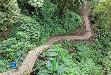 Sekumpul Waterfall Trek