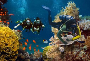 Snorkeling & Diving in Bali
