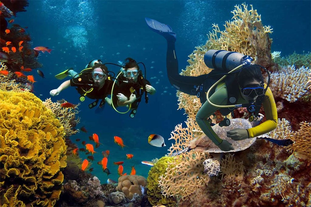 Snorkeling & Diving in Bali