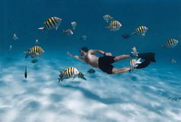 Snorkeling Spots in Bali