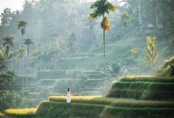 Sunrise in Ubud & Rice Terrace Wonders