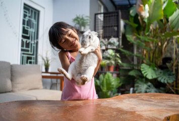 The Best Pet-Friendly Villas to Rent in Bali for Your Furry Friend