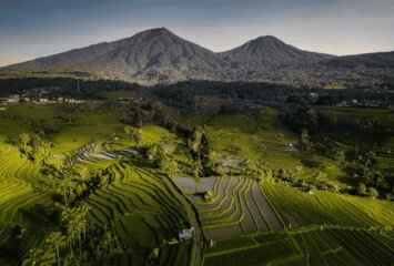 The Hidden Rice Terraces of Jatiluwih