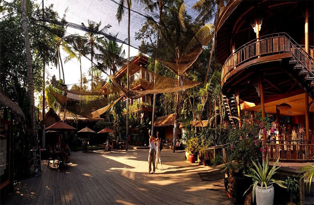 The Yoga Barn A Modern Spiritual Oasis