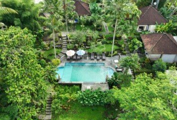 Villa Capung Mas Ubud