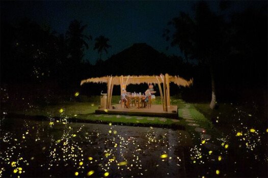 Where to See Fireflies in Bali at Night