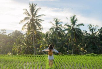 Why You Should Visit Bali During the Off-Season
