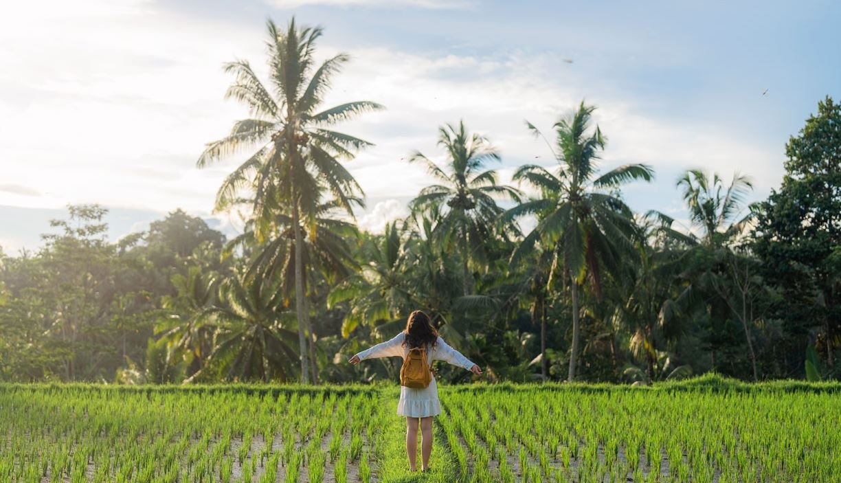 Why You Should Visit Bali During the Off-Season