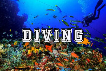 bali-diving