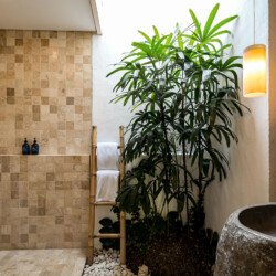 Villa Mewah 3 Kamar Tidur di Canggu Bali – BVI56004