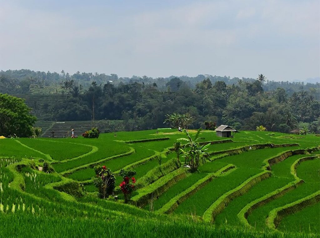 4 Reasons to Visit Bali Before the Crowds Arrive