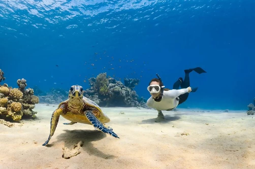 Amed A Diver's Paradise