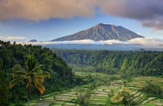 Bali Is the Ultimate Destination for Mindful Travelers