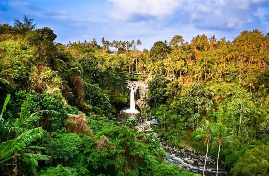 Bali Looking Forward The Future of Sustainable Tourism