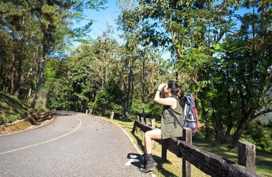 Bali Road Navigation 10 Tips to Explore with Confidence