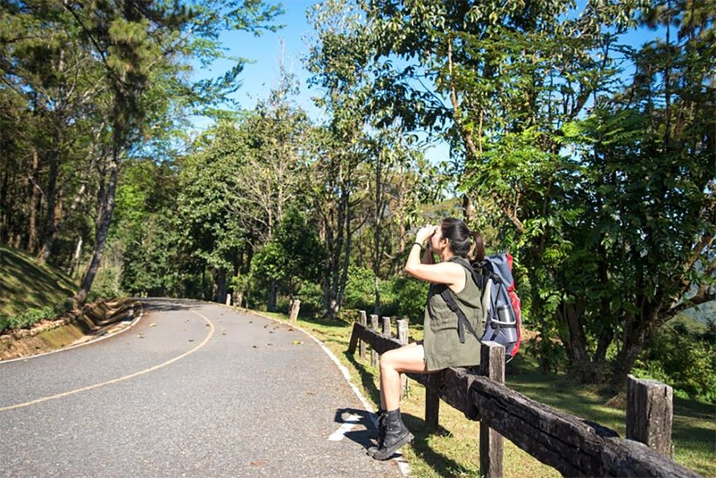 Bali Road Navigation 10 Tips to Explore with Confidence