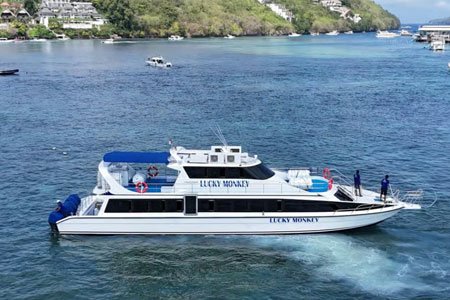 Bali Sanur: One-Way Express Ferry to-from Nusa Penida
