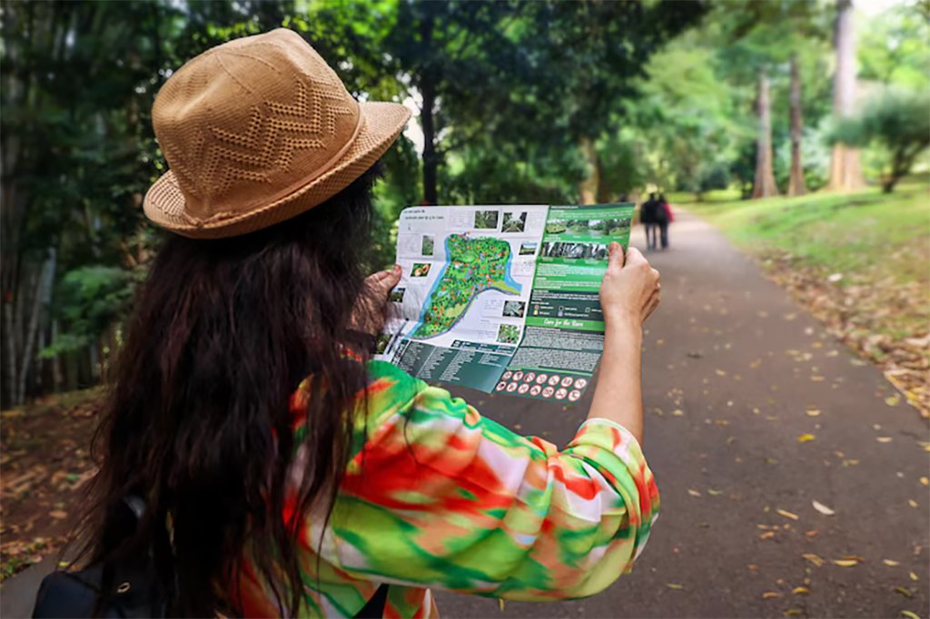 Bali Travel Maps 9 Essential Tips for Getting Around Efficiently