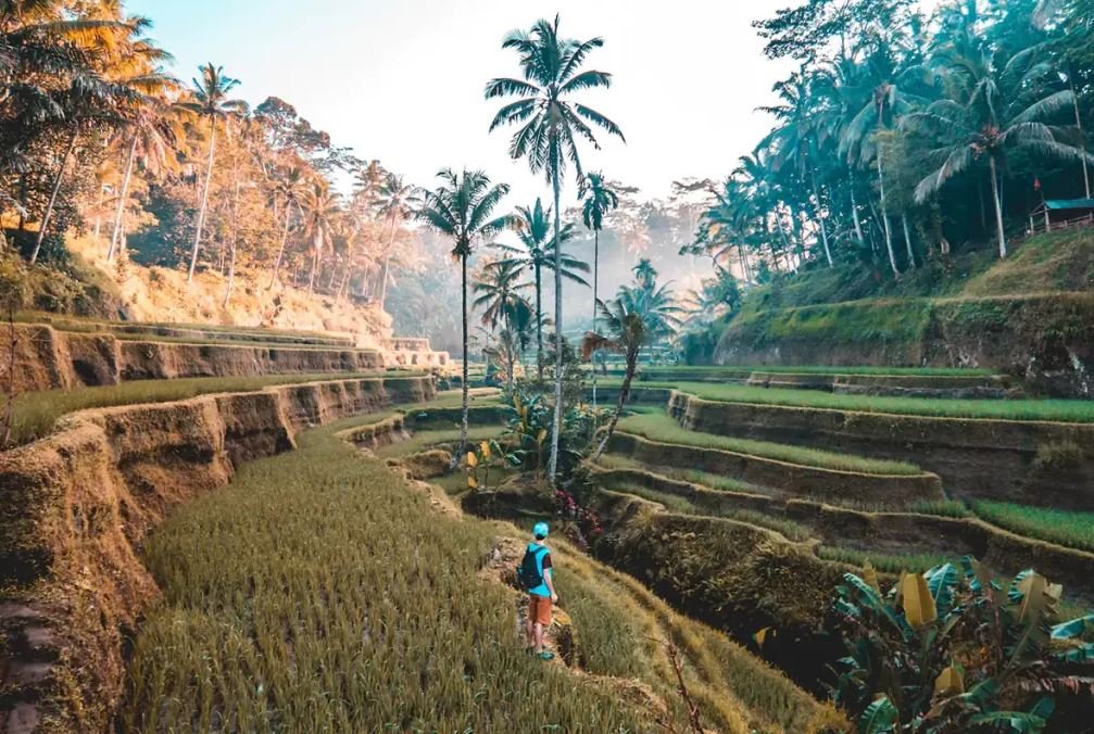 Bali in 3 Days The Ultimate Express Itinerary
