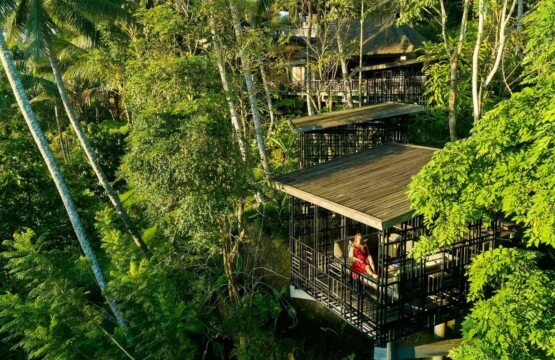 Bali’s Top Hidden Jungle Cafes for Nature Lovers