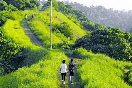 Bukit Campuhan Ridge