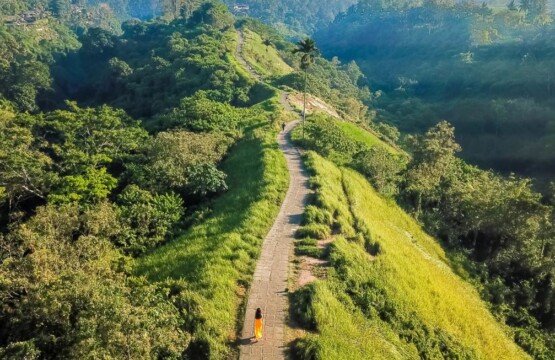 Campuhan Ridge Walk, Ubud
