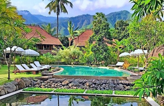 Desa-Saya-Eco-Luxury-Resort-&-Spa