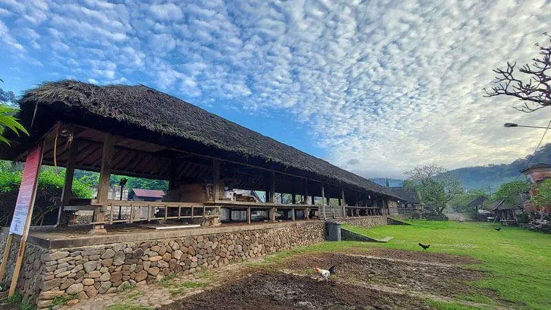 Discover Hidden Art Villages in East Bali