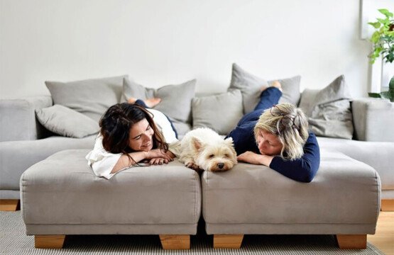 Dreaming of Bali with Your Pet