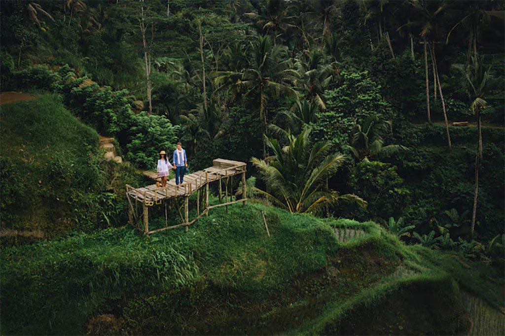 Eco-Friendly Ubud