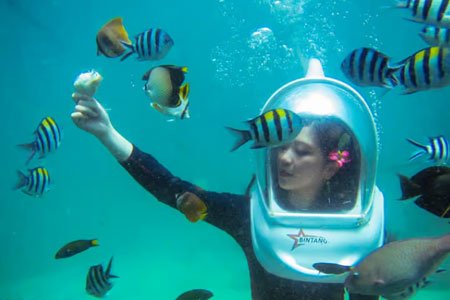 Experience Bali Sea Walker Water Sport