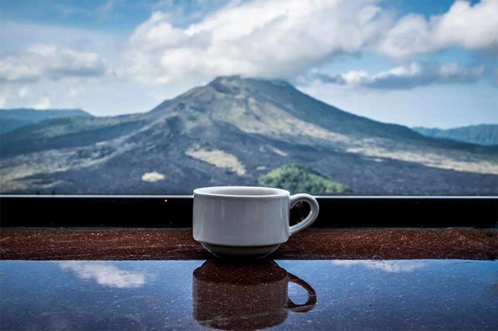 Exploring Bali’s Coffee Scene, One Cup at a Time