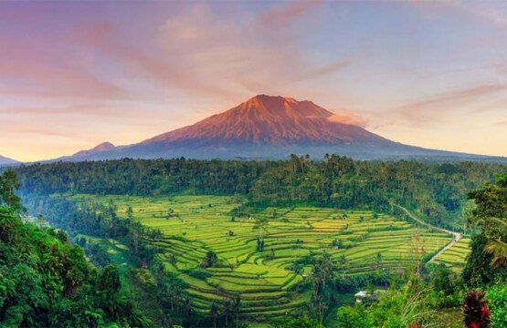 Exploring Bali’s Volcanic Landscapes: A Photo Diary
