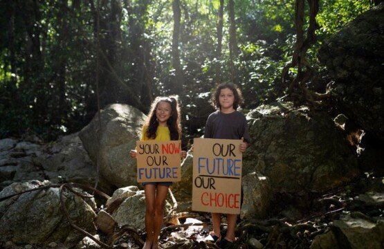 How to Volunteer Ethically in Bali
