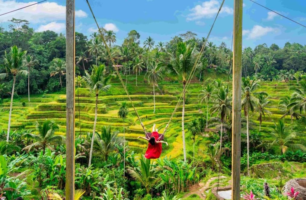 Instagrammable Rice Terraces in Bali