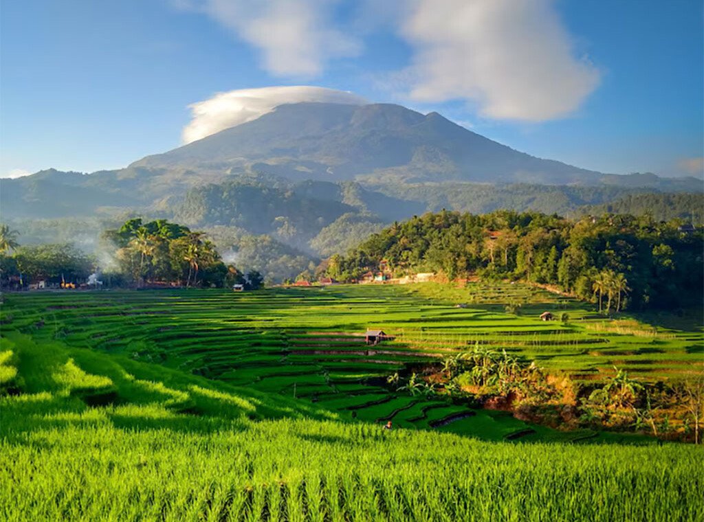 Jatiluwih Rice Terraces